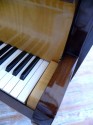 Spectacular Gaveau French Art Deco Piano by Dominique