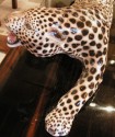 Cassano Ceramic Leopard