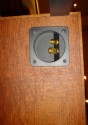 Art Deco Custom Audiophile Speakers