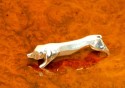 Silver Knife Rests Sandoz for Christofle