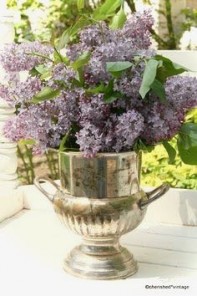 c32f707915f874030465f23de8d455b9--champagne-buckets-lilac-flowers (1)